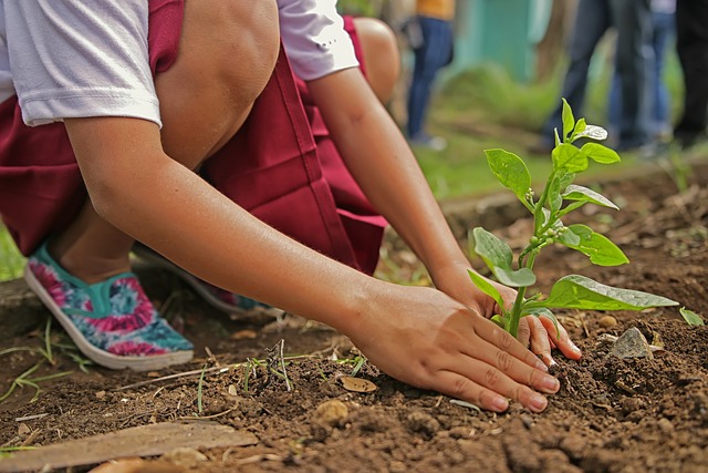 Sadzenie drzew jako postawa ekologiczna dzieci